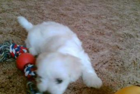 ouj8Xb8YXY9i7-R9BDalV2lQQF0g0OV5Ge4Ud8Z3KqM&width=341